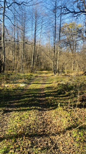 Участок 5,67 га (ИЖС)