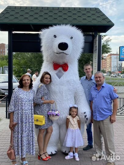 Белый мишка поздравление