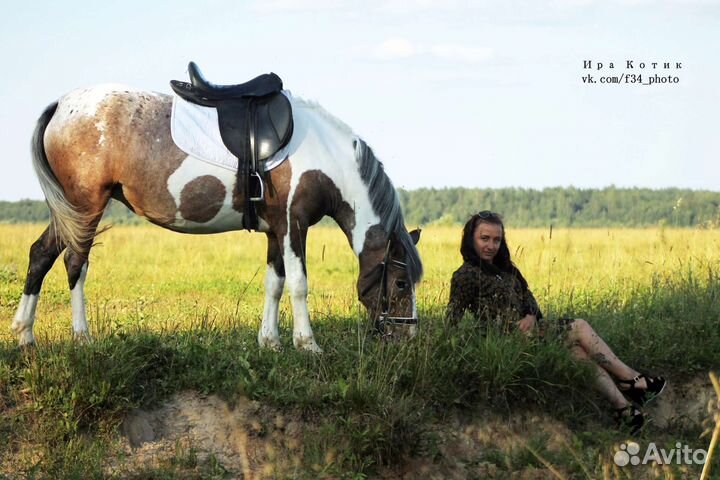 Продам лошадей