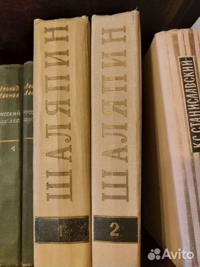 Шаляпин Ф.И. 2-х томник. Жизнеописание