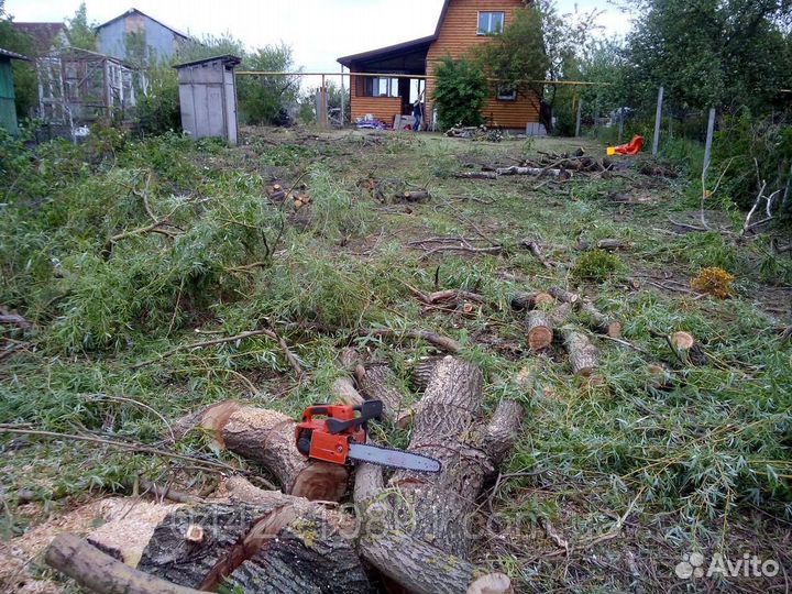 Расчистка участка Сергиев Посад