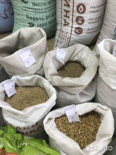 Пшеница Ячмень овес кукуруза