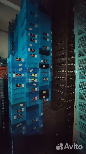 Пластиковые корзинки, ящики