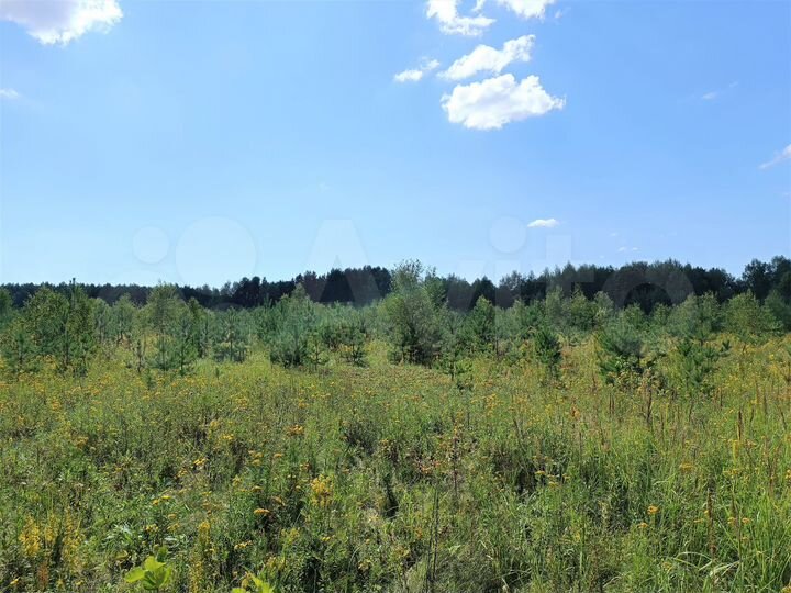 Участок 9 сот. (ИЖС)