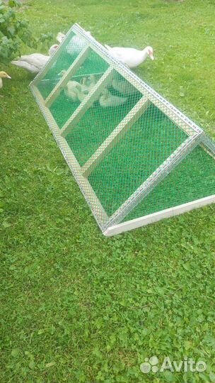 Уличный выгул для цыплят,утят,гусят и т.д