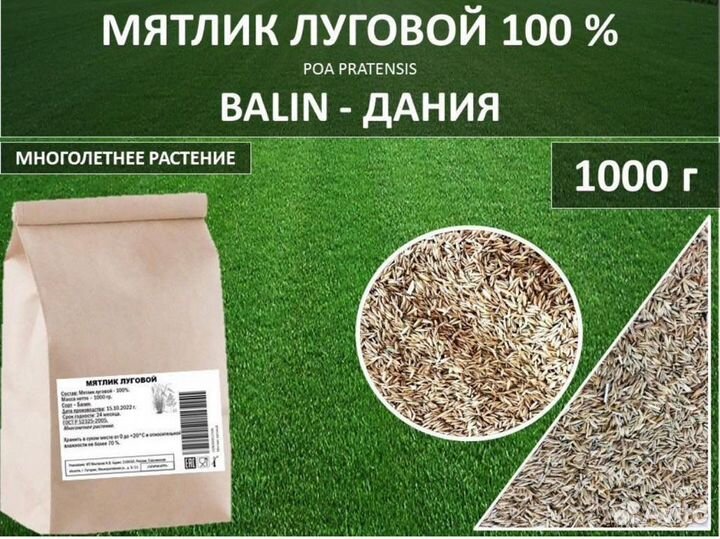 Мятлик луговой DLF balin