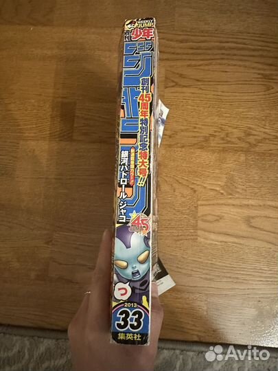 Shone jump 33/2013 год