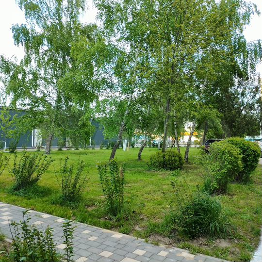 1-к. квартира, 37,8 м², 2/5 эт.