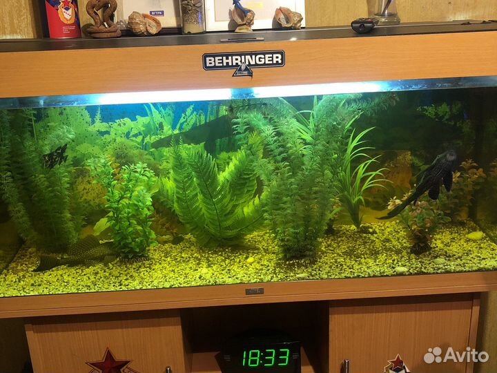 Аквариум с тумбой 200 литров