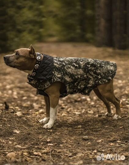 Новая попона для собак