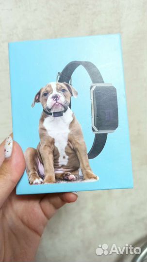 Gps трекер для животных