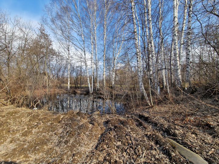 Участок 25 сот. (ИЖС)