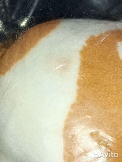 Лошадка пони флоковая большая