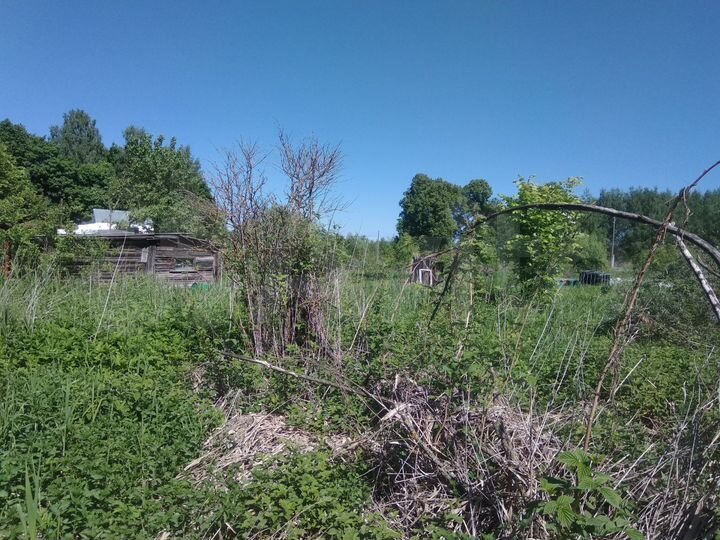 Участок 8 сот. (ИЖС)