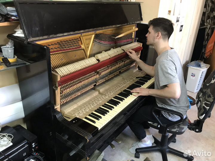 Настройка фортепиано (пианино) /рояля/ремонт