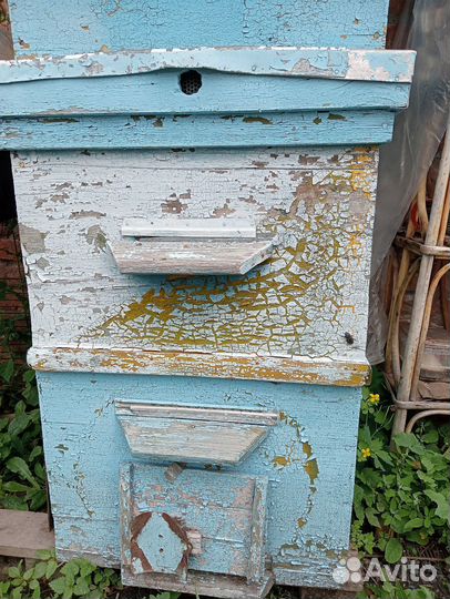 Продам ульи