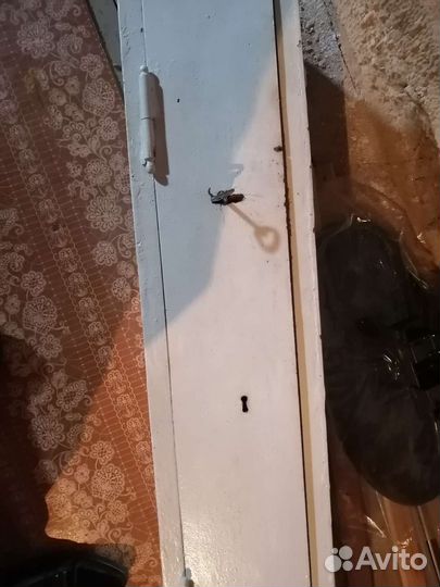 Оружейный сейф для ружья