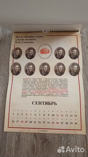 Календарь развития Невзоров