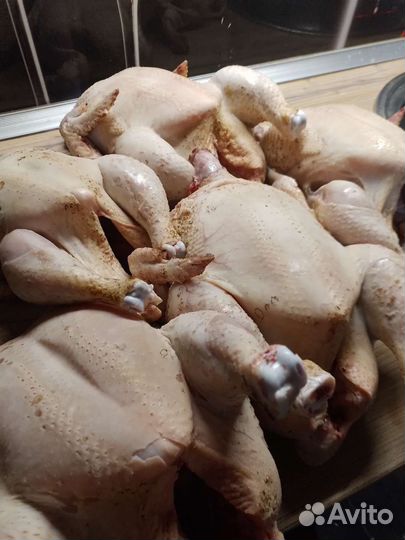 Мясо домашнего бройлера