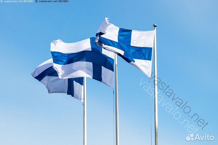 Suomen kieli / Финский язык