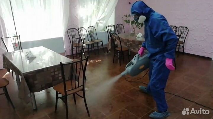 Уничтожение тараканов клопов грызунов дезинфекция