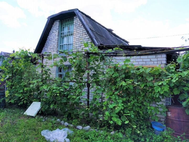 Снт восход 1. Дачи восход авито. Дачи восход авито. Дачи восход авито. Дачи восход авито.