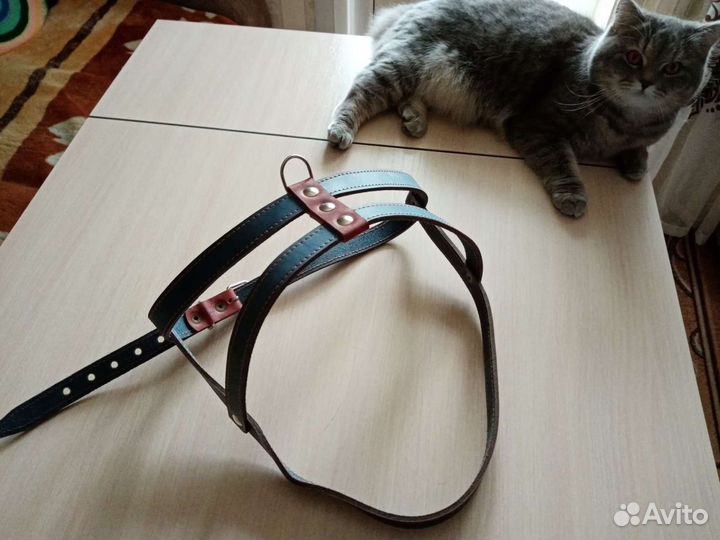 Шлейка для большой собаки