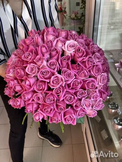 Розы 101 Роза 