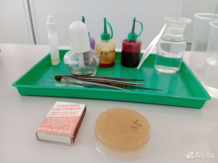 Репетитор по биологии \географии