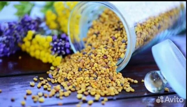 Пыльца пчелиная