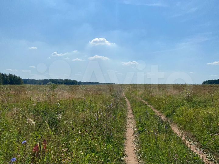 Участок 53,53 га (СНТ, ДНП)