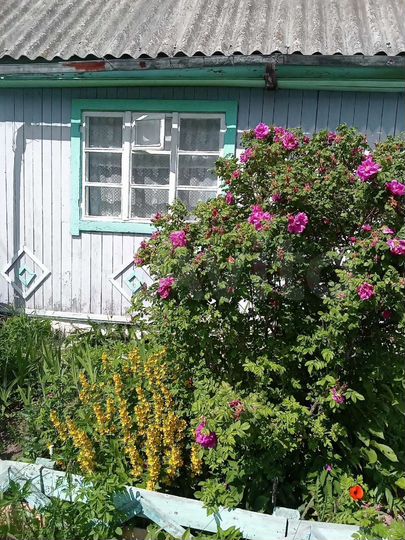 Дом 408 м² на участке 4 сот.