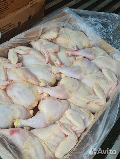 Куры птицефабрика 