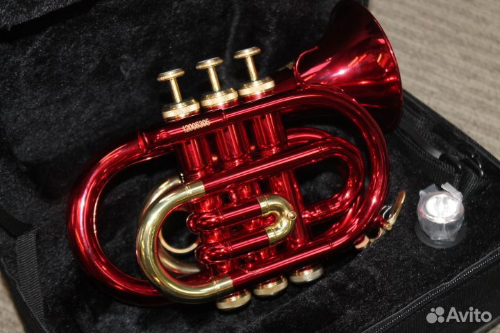 Карманная труба Roy Benson PT-101R