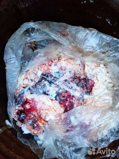 Для собак рубец печень обрезь кости рыба не вын.у