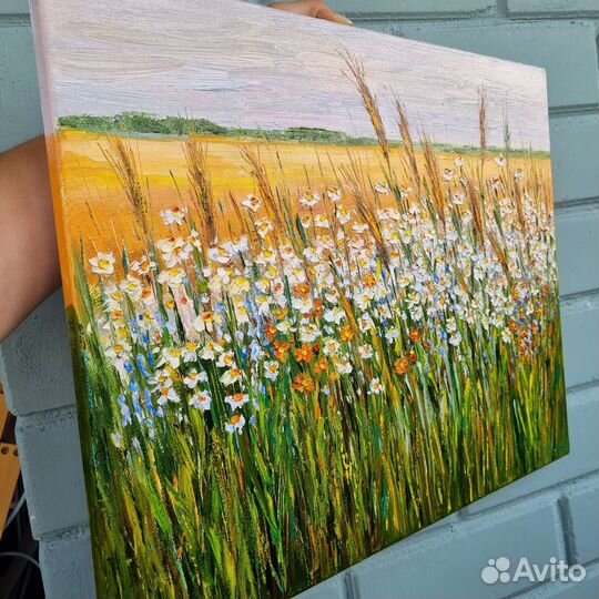 Ромашки цветы картина маслом полевые цветы