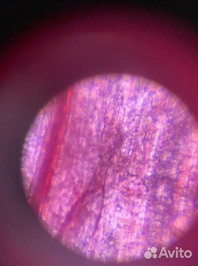 Набор для опытов Микроскоп школьный биологический