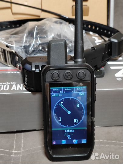 Garmin Alpha300 и Ошейник версия США