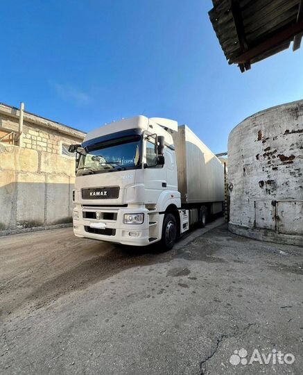 Услуги Рефа