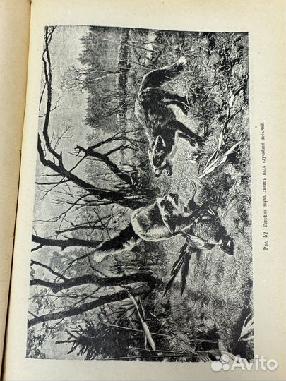 Редкая Книга Враги птицеводства и борьба с ними