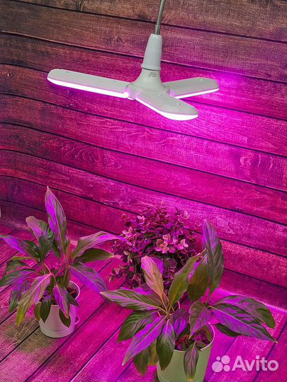 Фитолампа для растений uniel LED-P65-24W