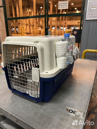 Отправка животных в США