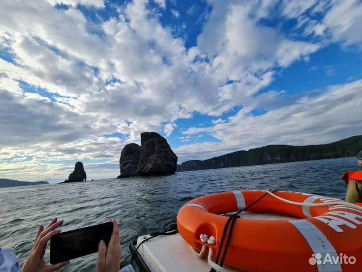 Морские прогулки по Авачинской бухте