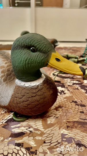 Утки чучела