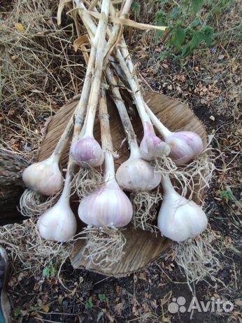 Молочная продукция из деревни