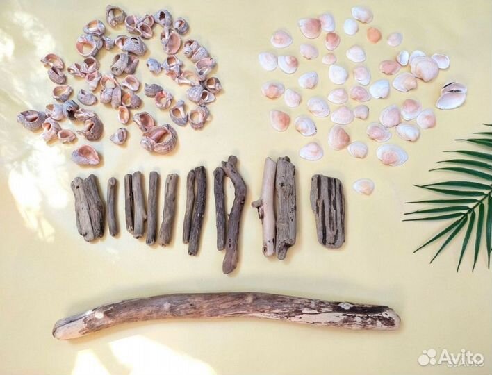 Набор для творчества дрифтвуд морские ракушки