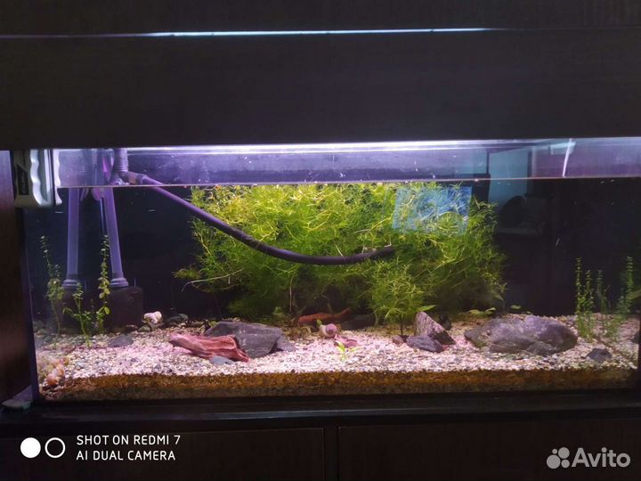 Аквариум / террариум на заказ