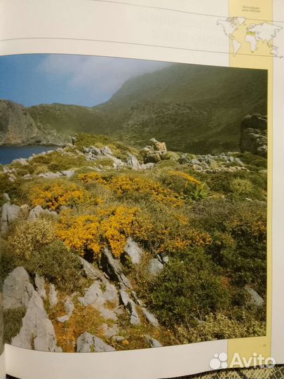 Живая природа. Дэвид Эттенборо