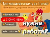 Упаковщик(ца) /Птицефабрика/Вахта в Пензе