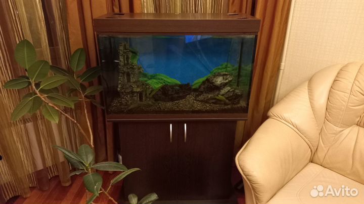 Аквариум с тумбой 140 л